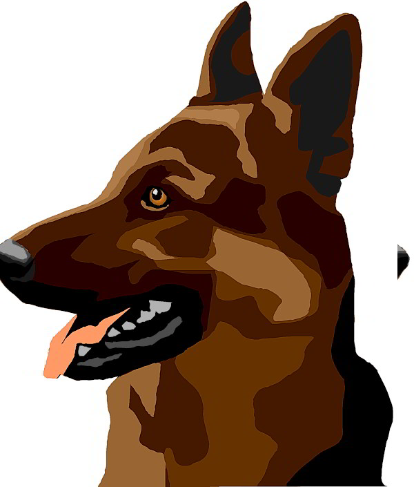 Hund nach links