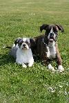 Bailey und Alya